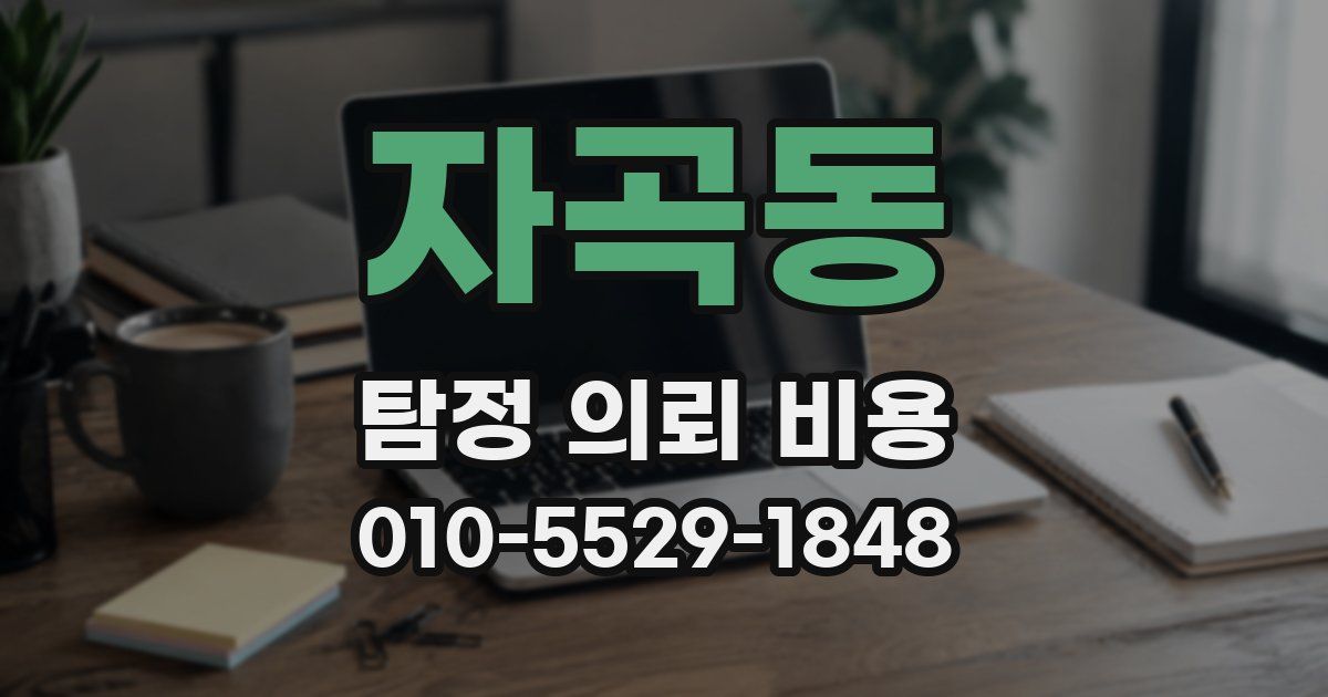 자곡동 탐정 의뢰 비용