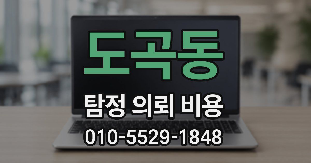 도곡동 탐정 의뢰 비용