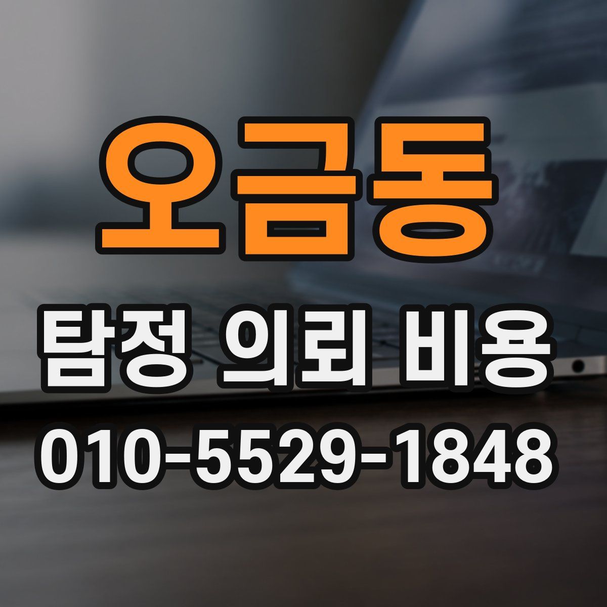 오금동 탐정 의뢰 비용