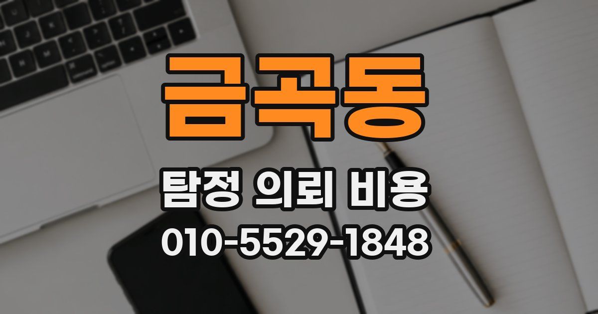 금곡동 탐정 의뢰 비용