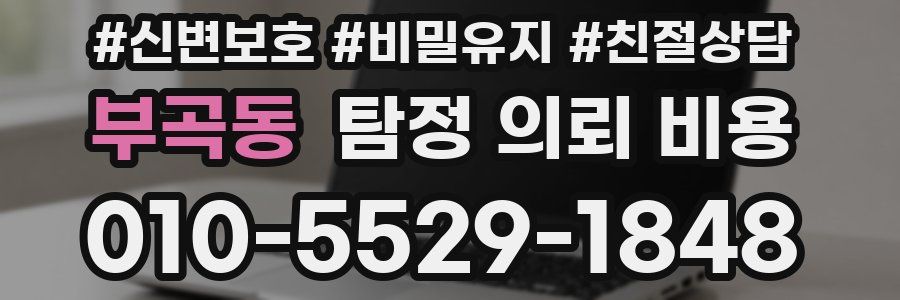 부곡동 탐정 의뢰 비용