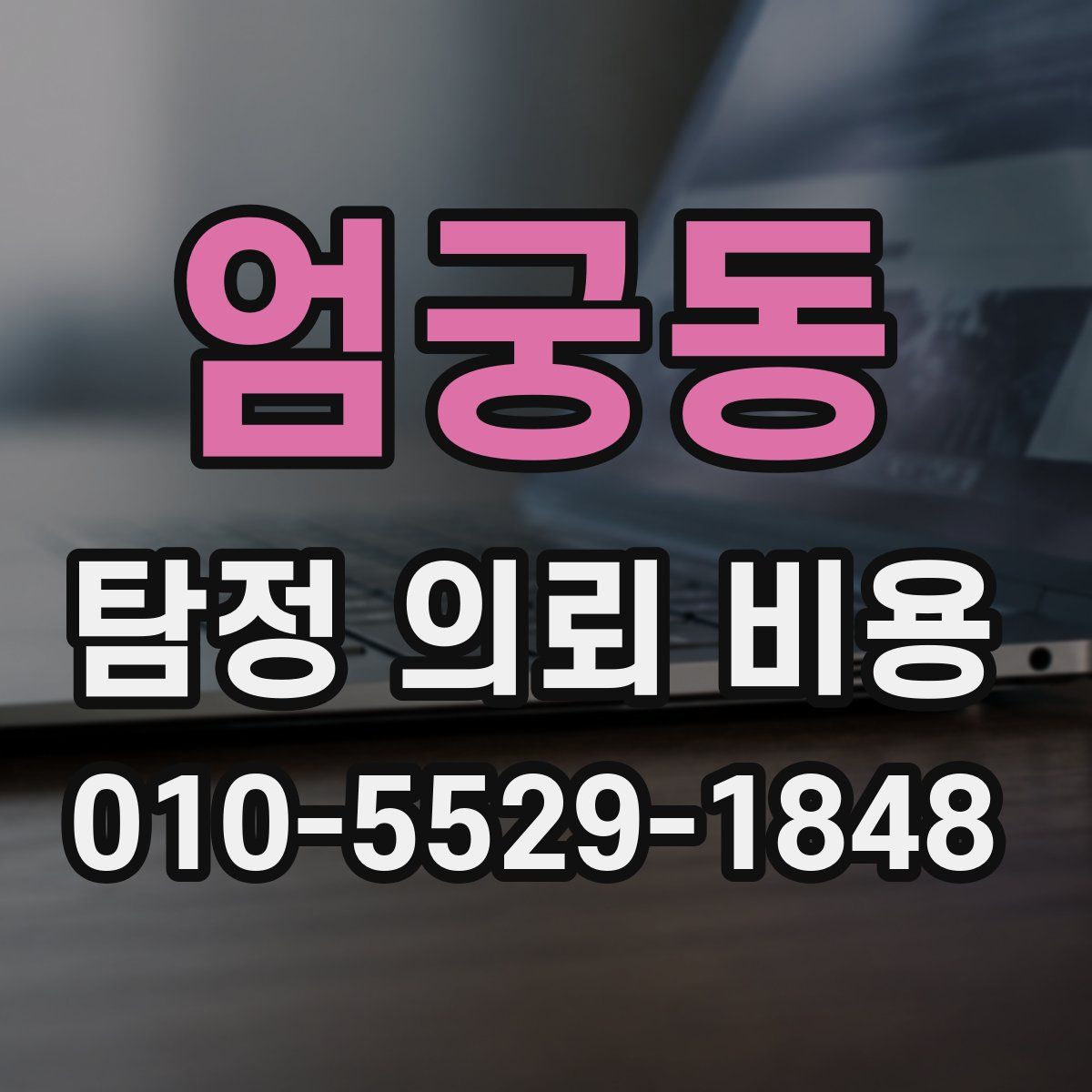 엄궁동 탐정 의뢰 비용