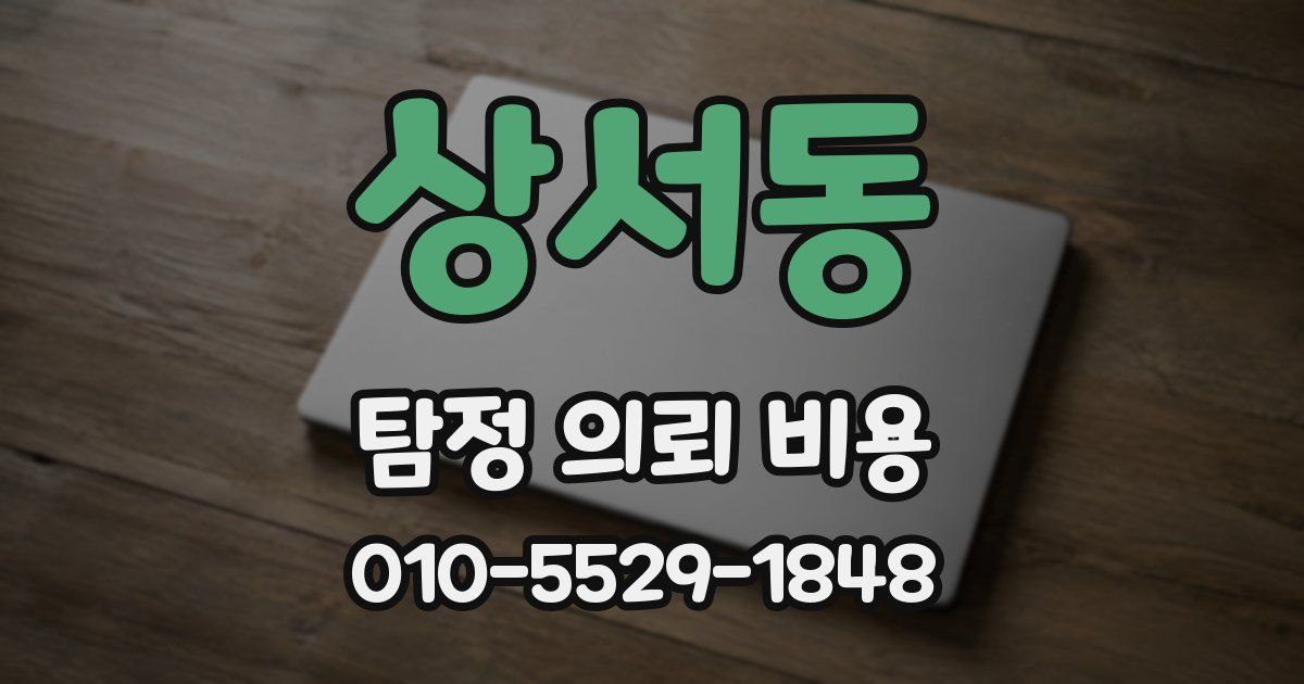 상서동 탐정 의뢰 비용