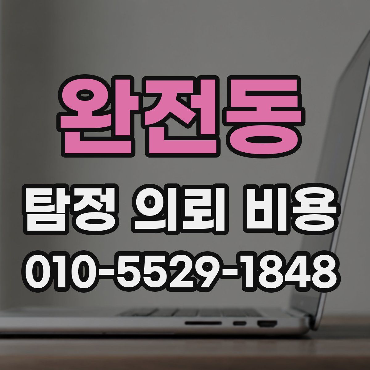 완전동 탐정 의뢰 비용