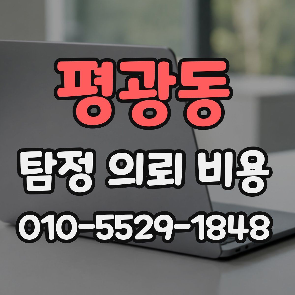 평광동 탐정 의뢰 비용