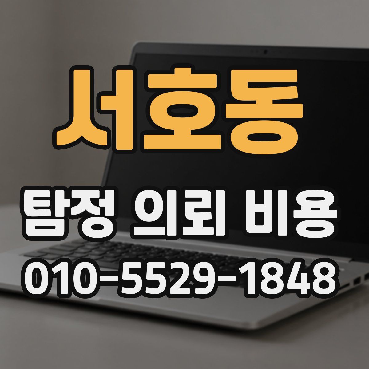 서호동 탐정 의뢰 비용