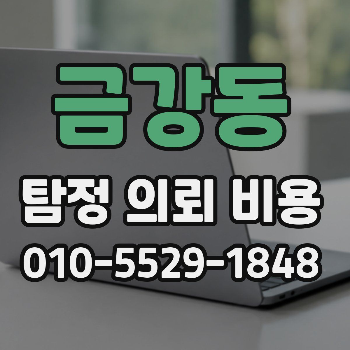 금강동 탐정 의뢰 비용