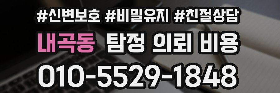 내곡동 탐정 의뢰 비용