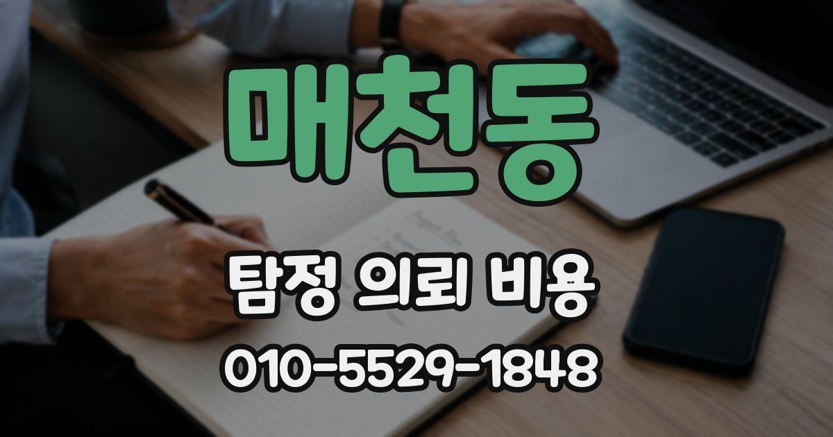 매천동 탐정 의뢰 비용