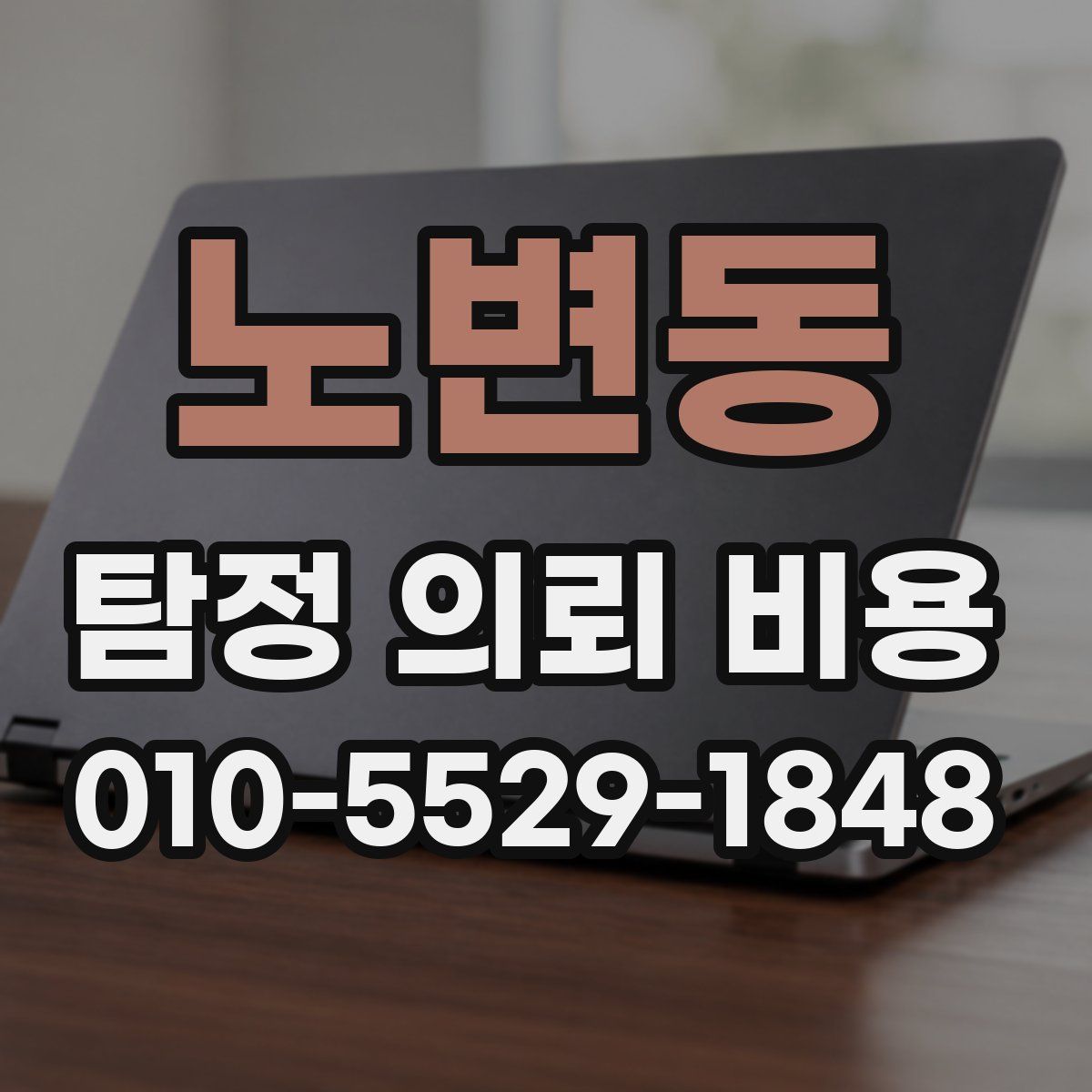 노변동 탐정 의뢰 비용
