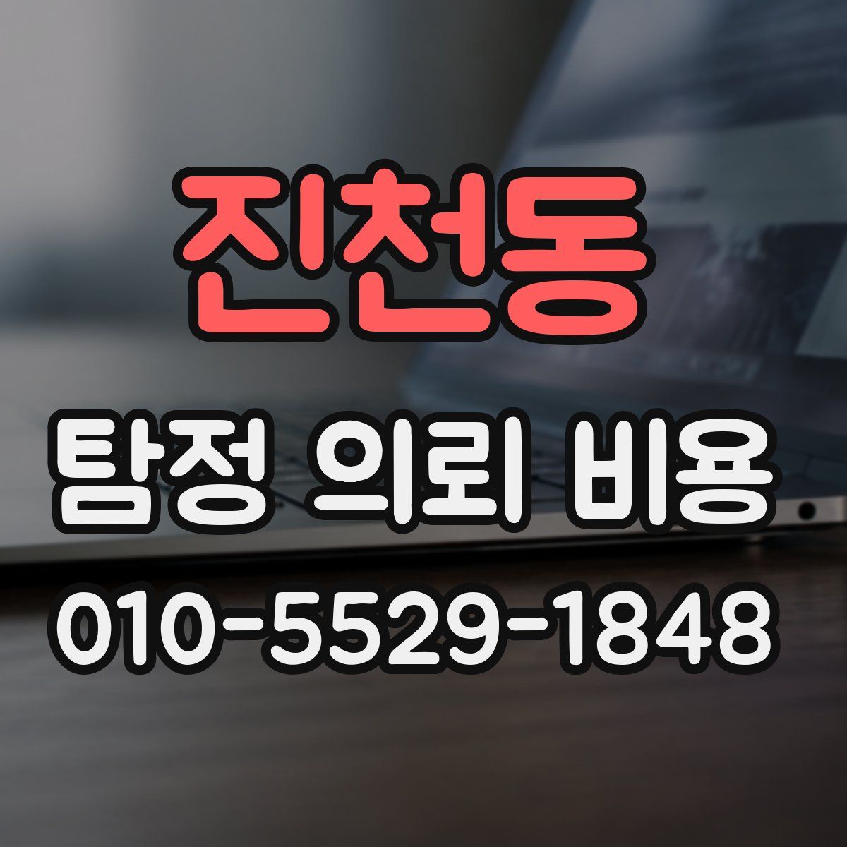 진천동 탐정 의뢰 비용