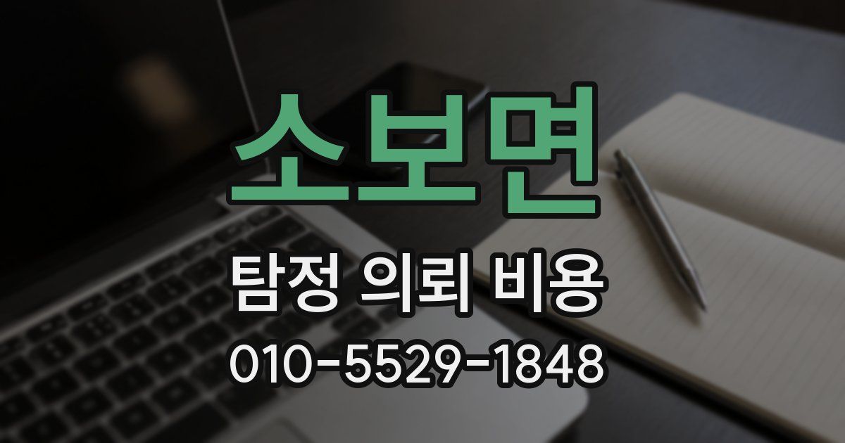 소보면 탐정 의뢰 비용