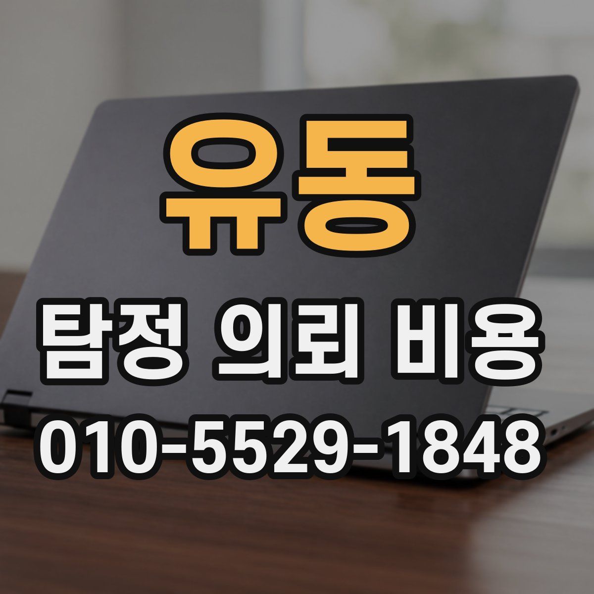 유동 탐정 의뢰 비용