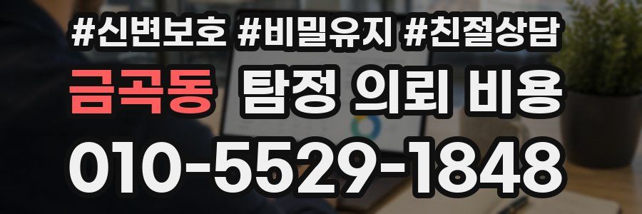 금곡동 탐정 의뢰 비용