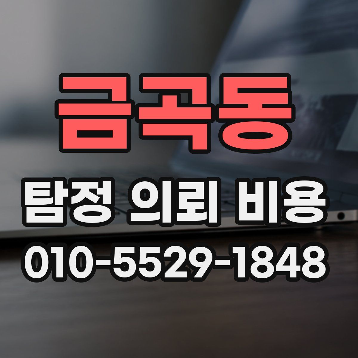 금곡동 탐정 의뢰 비용