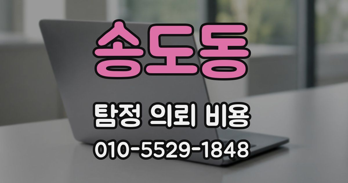 송도동 탐정 의뢰 비용