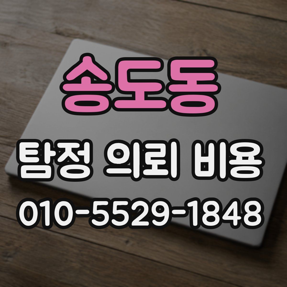 송도동 탐정 의뢰 비용
