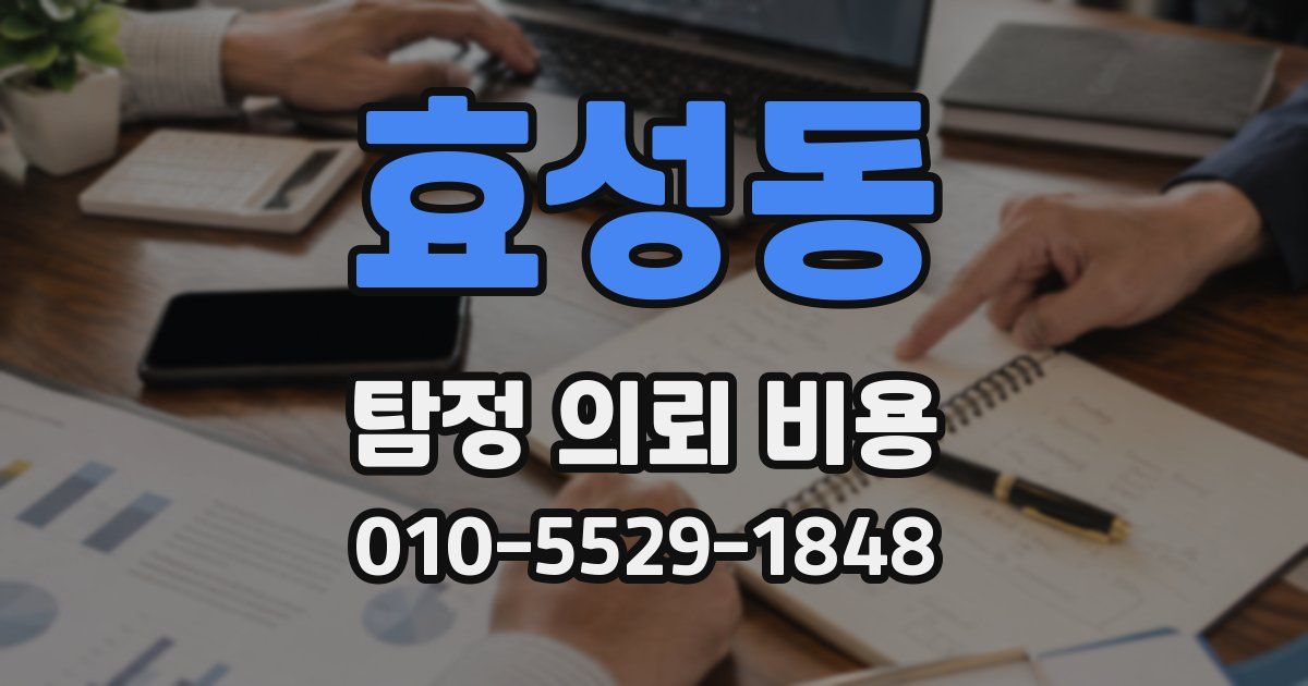 효성동 탐정 의뢰 비용