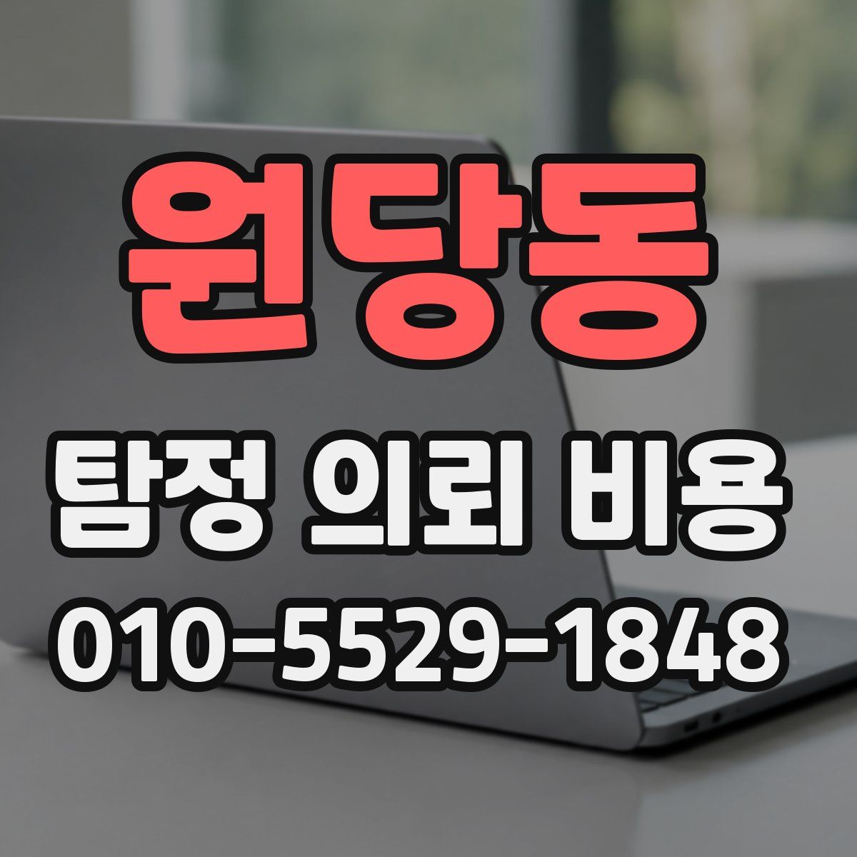 원당동 탐정 의뢰 비용