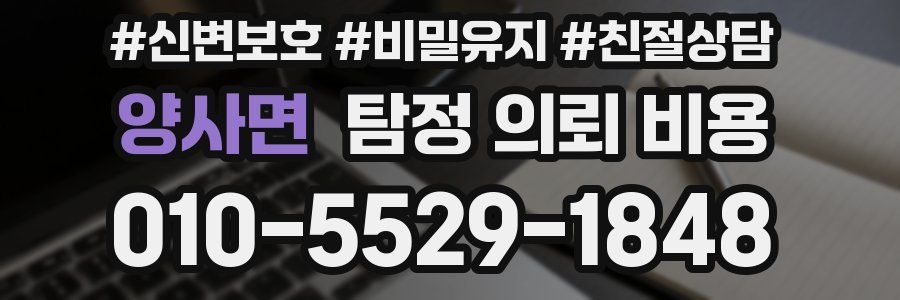 양사면 탐정 의뢰 비용