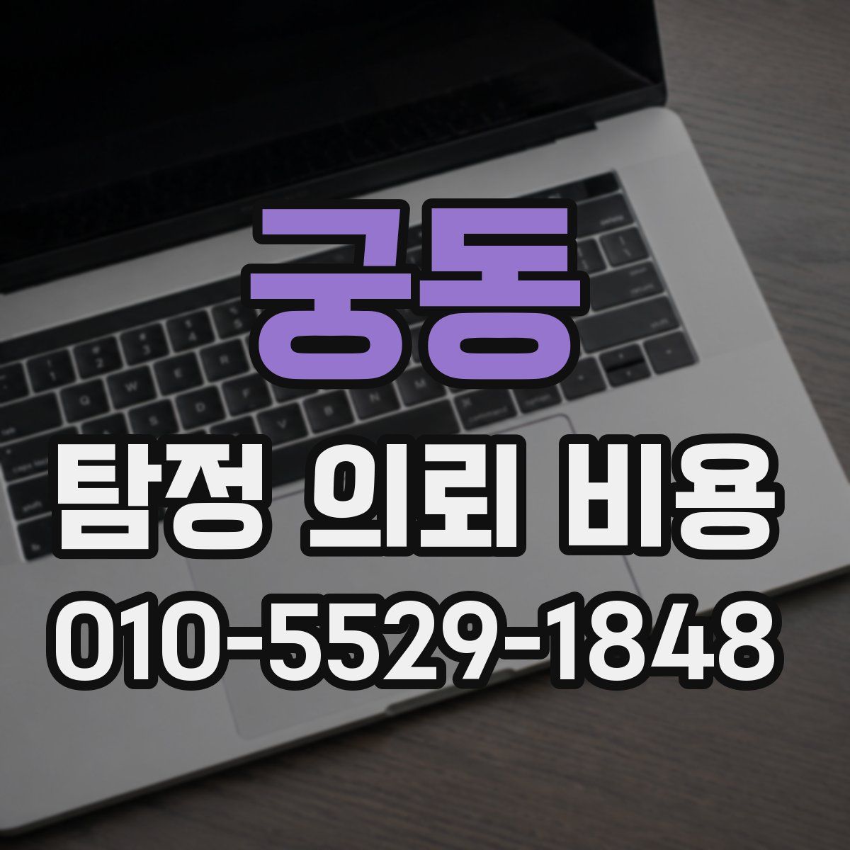 궁동 탐정 의뢰 비용