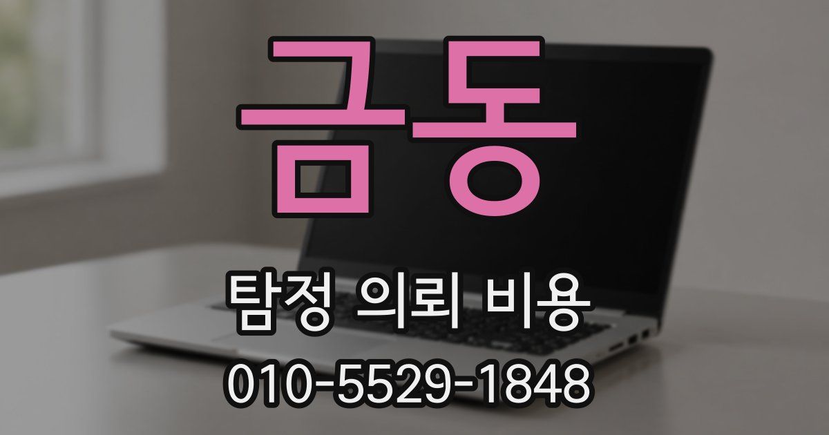 금동 탐정 의뢰 비용