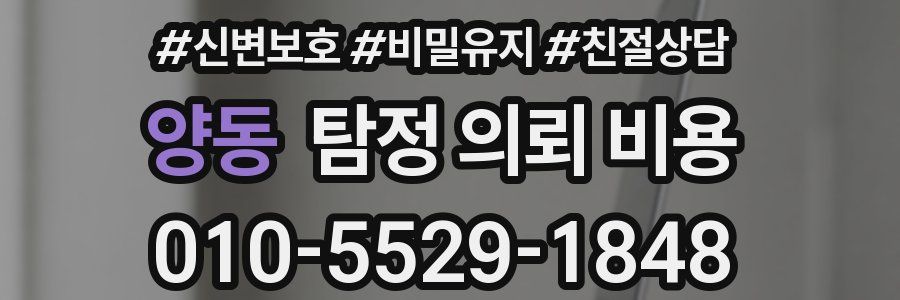 양동 탐정 의뢰 비용