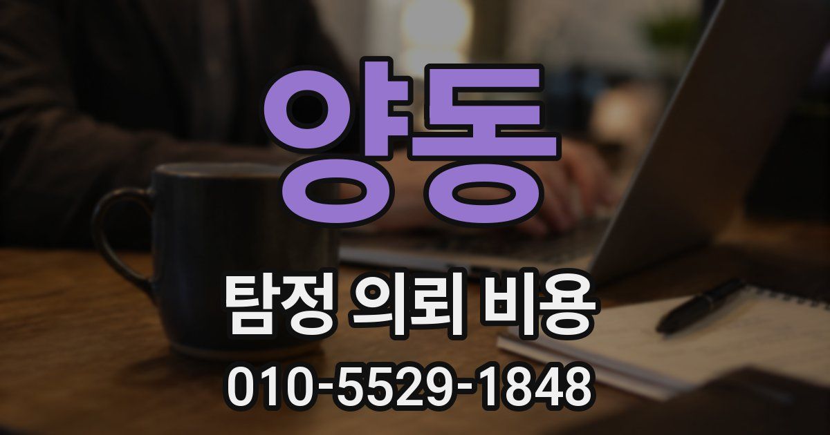 양동 탐정 의뢰 비용
