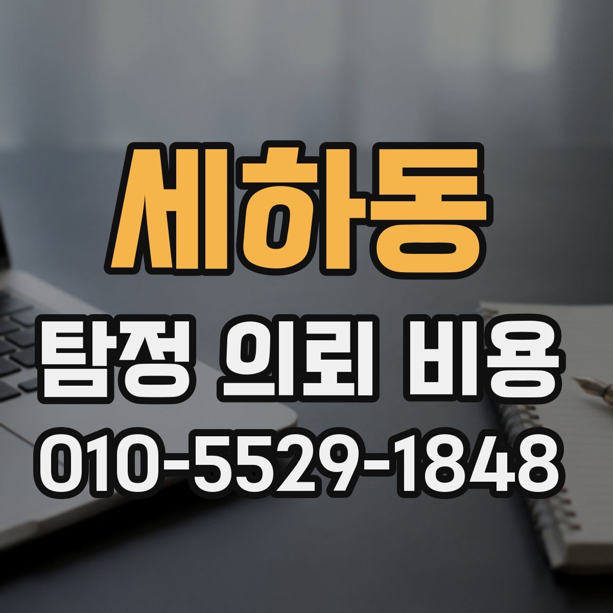 세하동 탐정 의뢰 비용