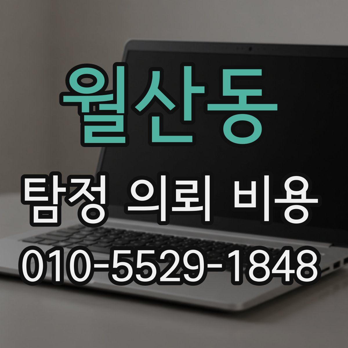 월산동 탐정 의뢰 비용