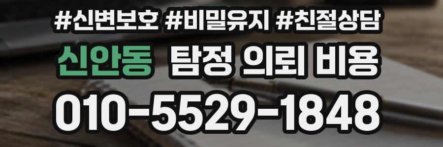 신안동 탐정 의뢰 비용