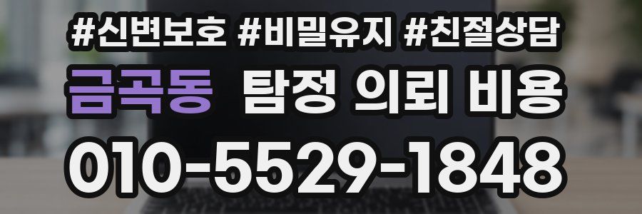 금곡동 탐정 의뢰 비용