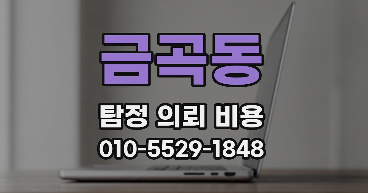 금곡동 탐정 의뢰 비용