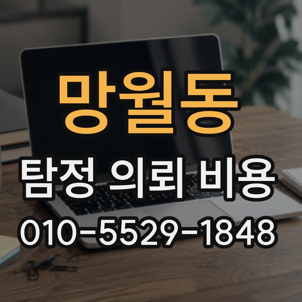 망월동 탐정 의뢰 비용