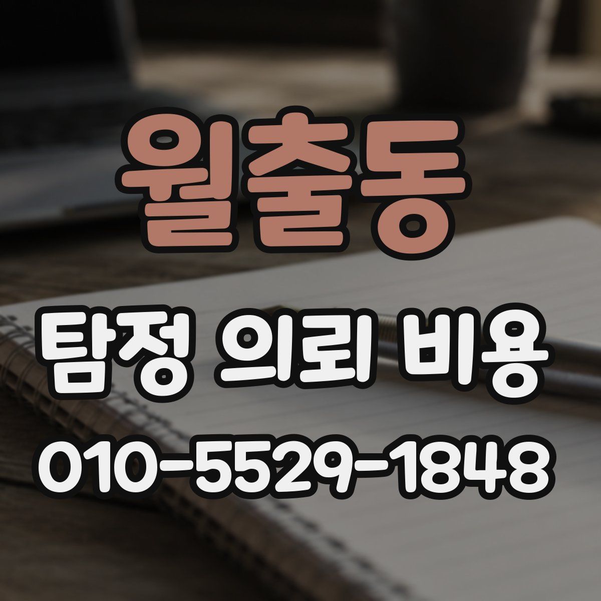 월출동 탐정 의뢰 비용