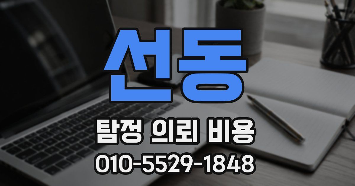 선동 탐정 의뢰 비용