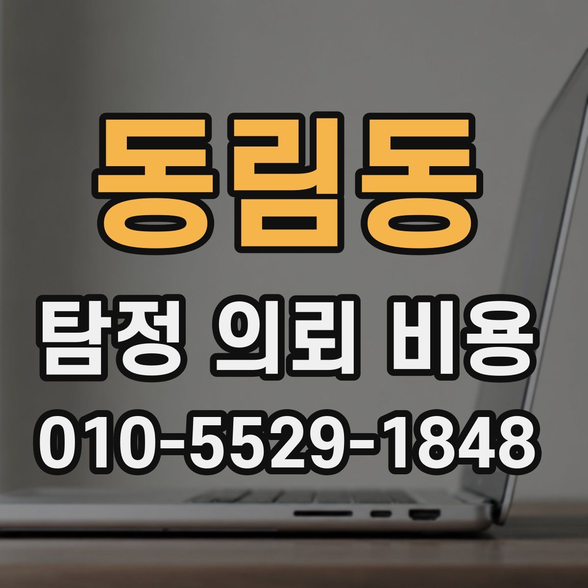 동림동 탐정 의뢰 비용