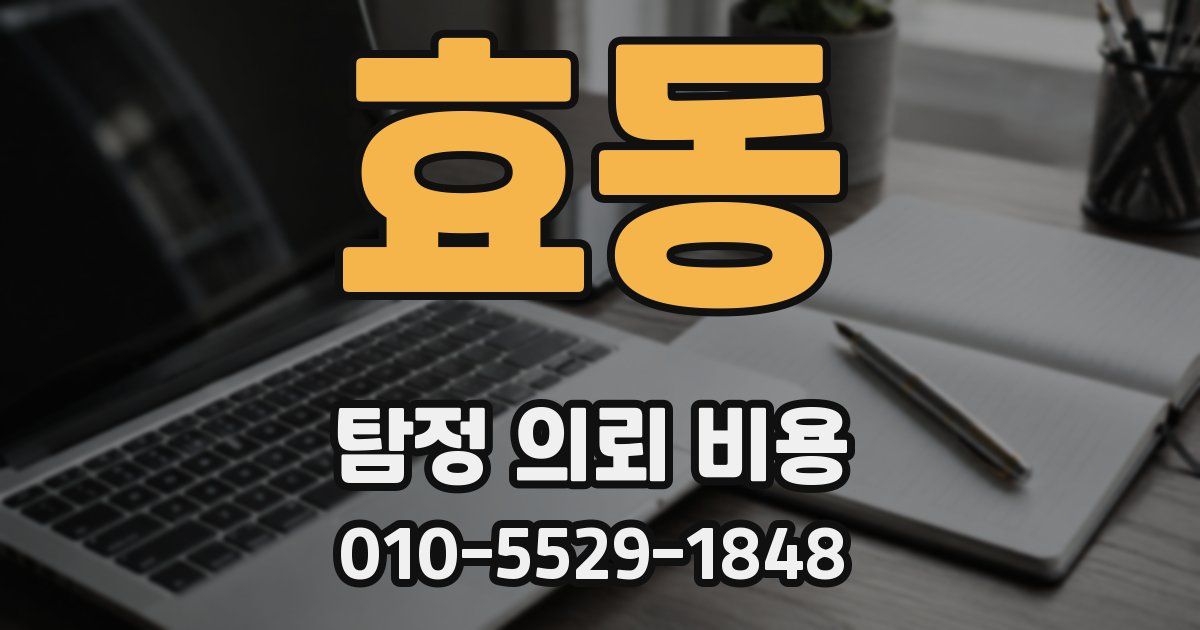 효동 탐정 의뢰 비용