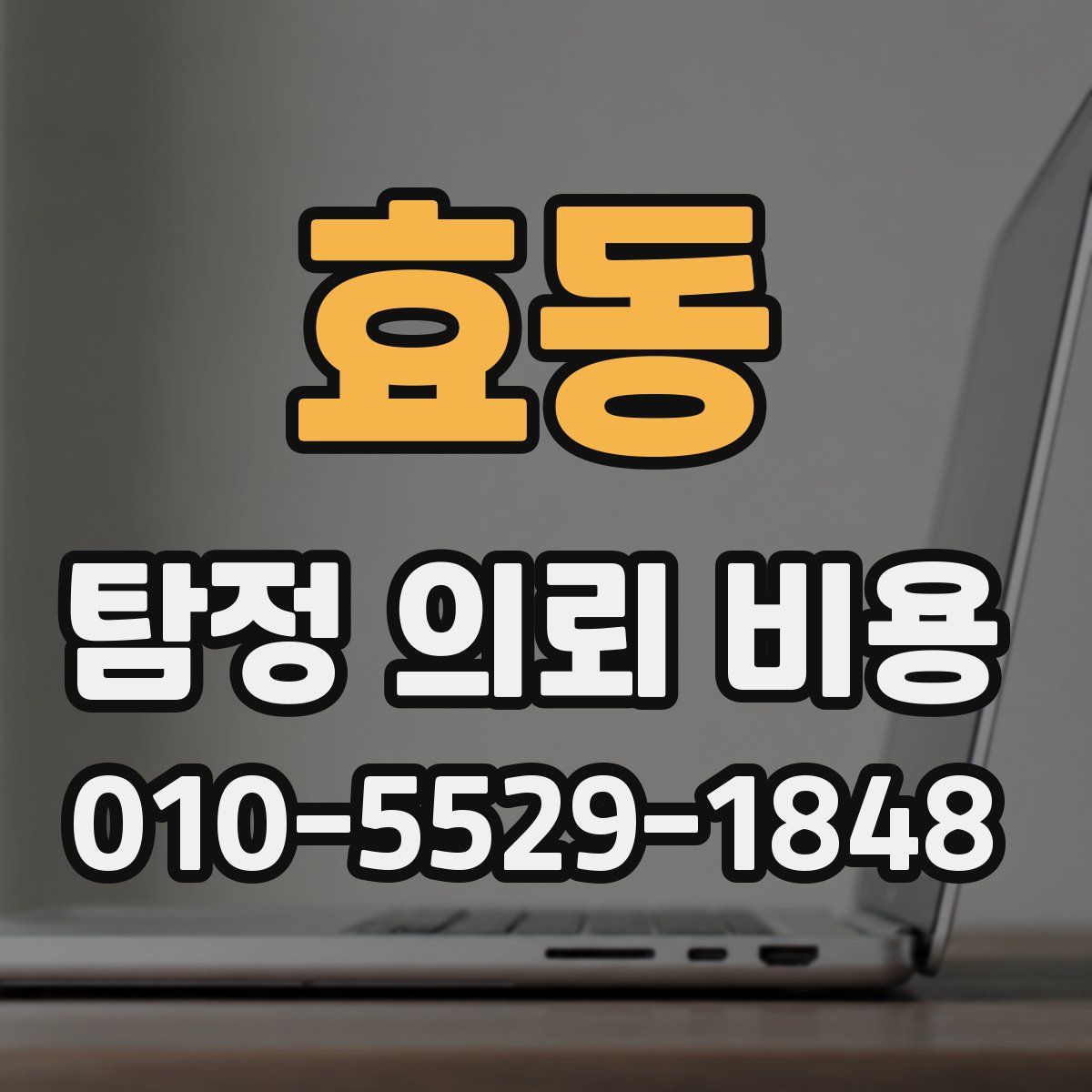 효동 탐정 의뢰 비용