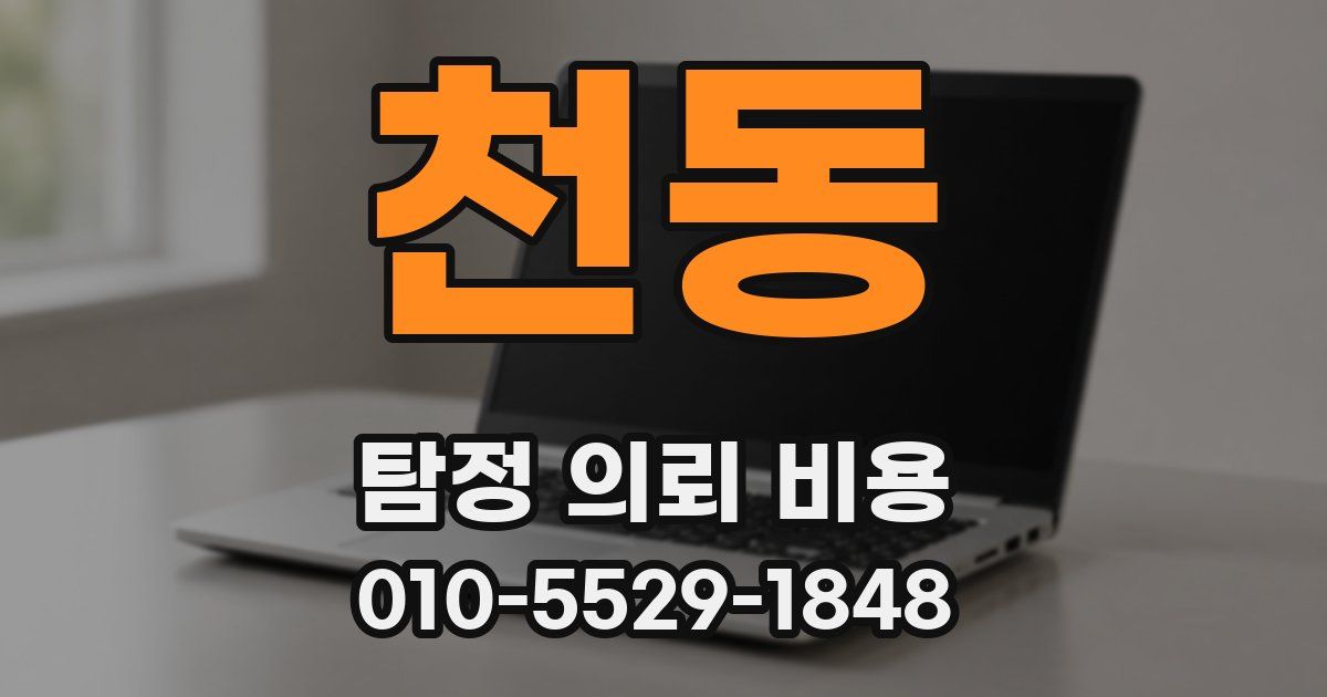 천동 탐정 의뢰 비용