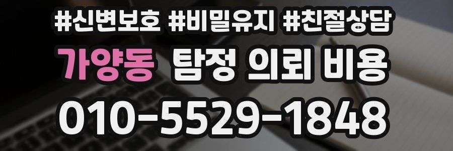 가양동 탐정 의뢰 비용