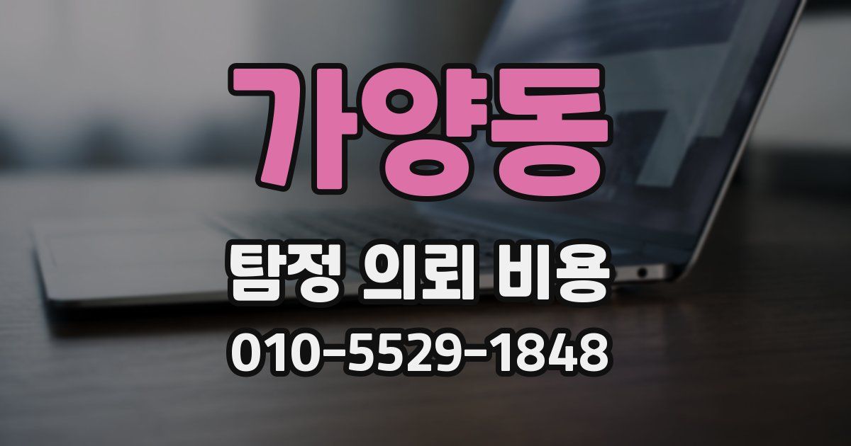 가양동 탐정 의뢰 비용