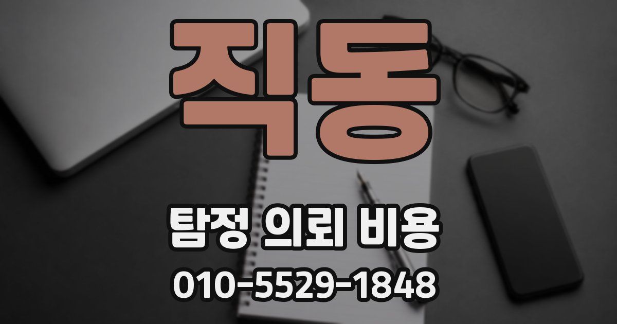 직동 탐정 의뢰 비용