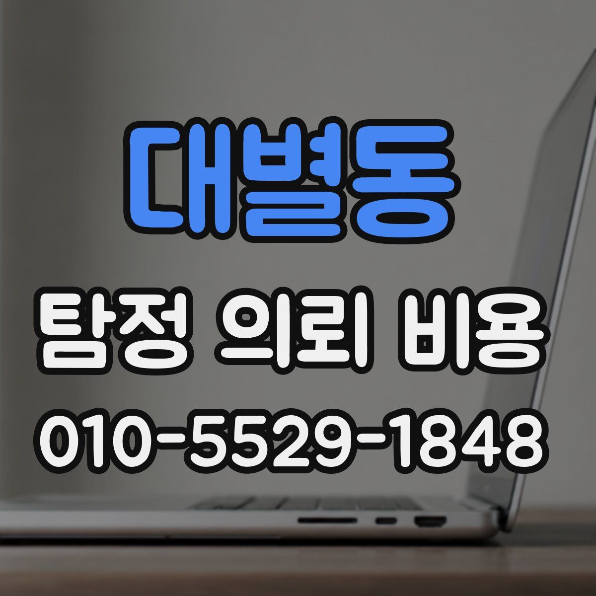 대별동 탐정 의뢰 비용