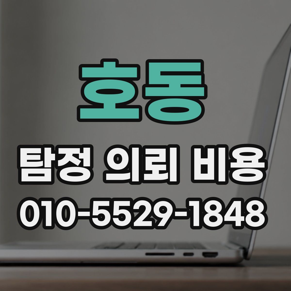 호동 탐정 의뢰 비용
