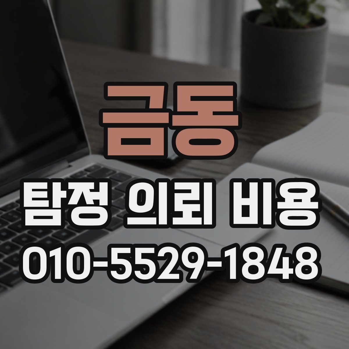 금동 탐정 의뢰 비용