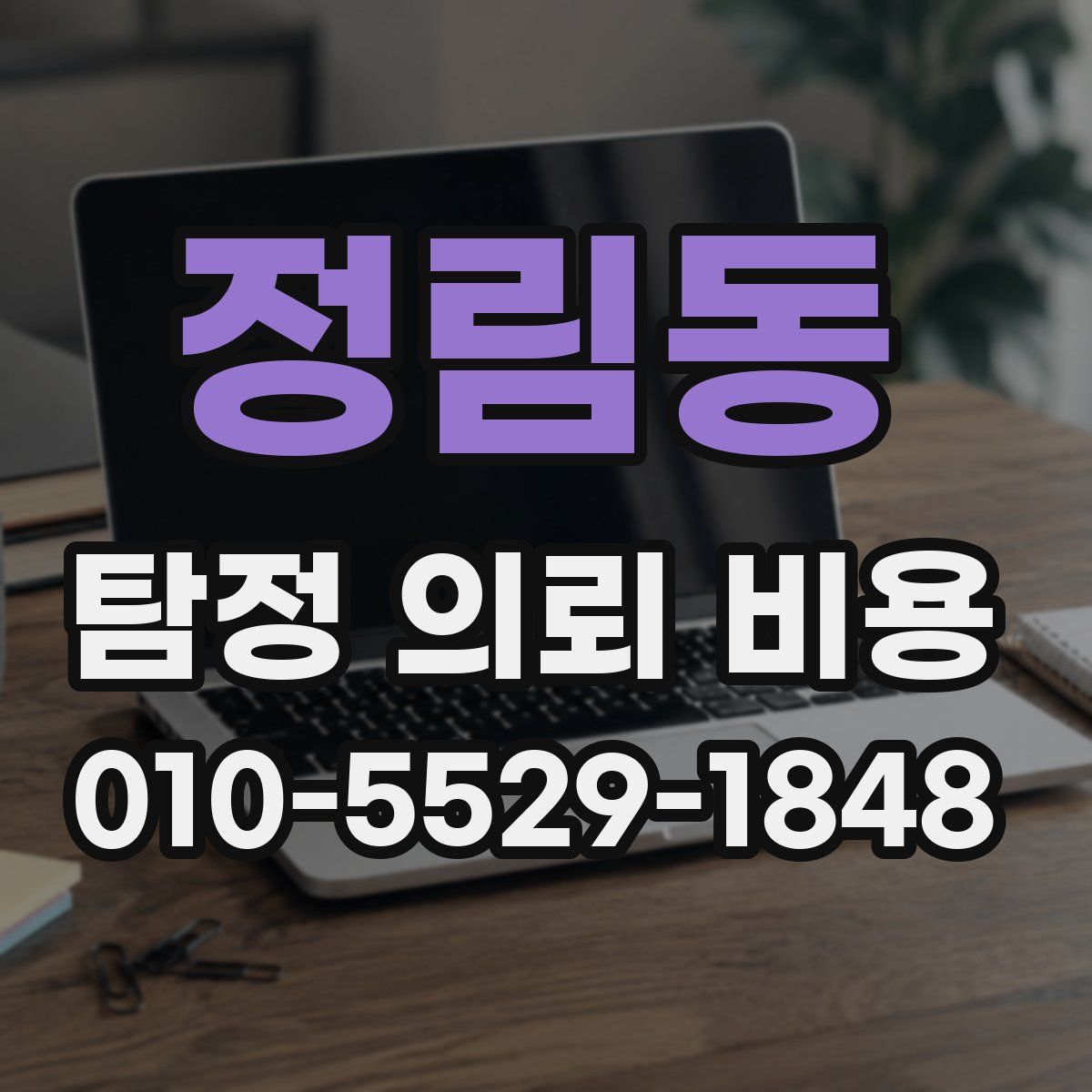 정림동 탐정 의뢰 비용