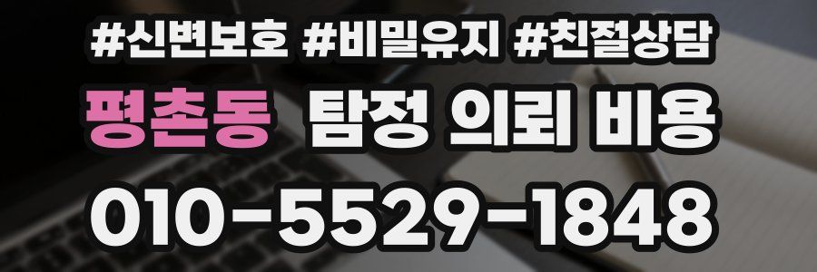 평촌동 탐정 의뢰 비용