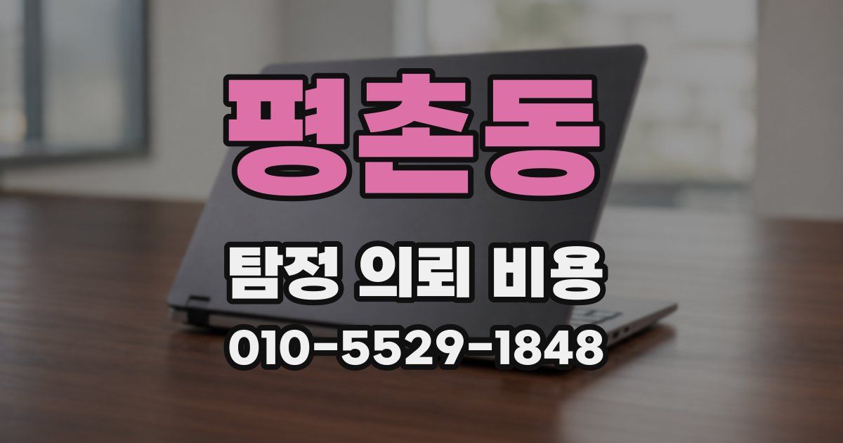 평촌동 탐정 의뢰 비용