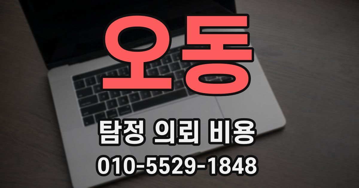 오동 탐정 의뢰 비용